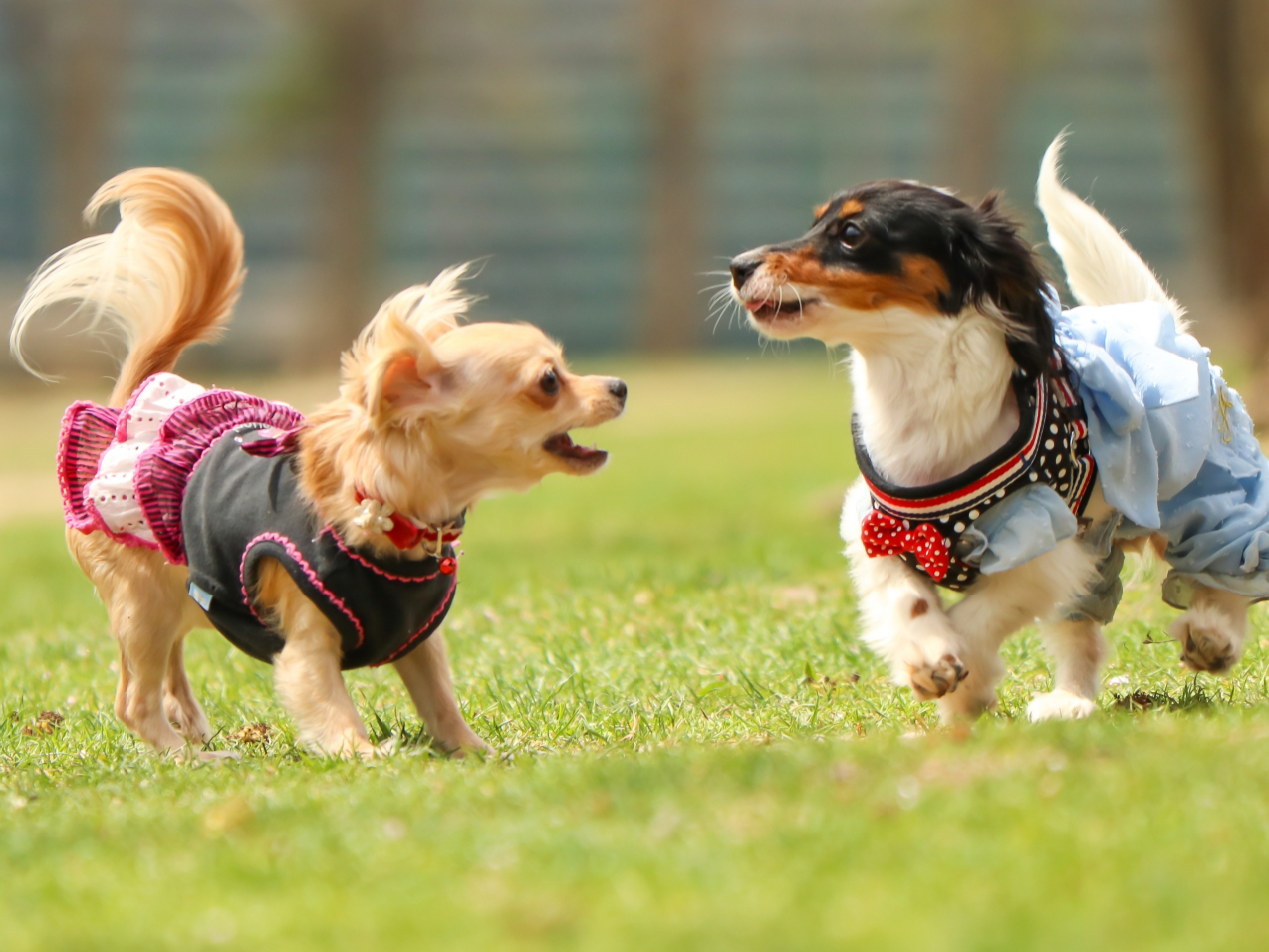 遊び放題フリー料金